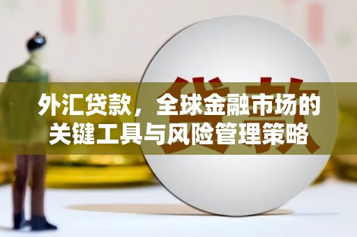 郸城外汇贷款，全球金融市场的关键工具与风险管理策略