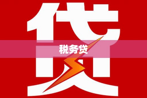 郸城税务贷