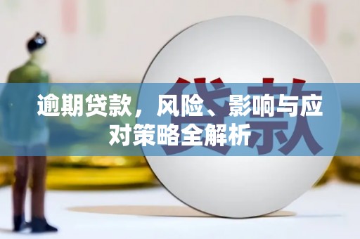 郸城逾期贷款，风险、影响与应对策略全解析