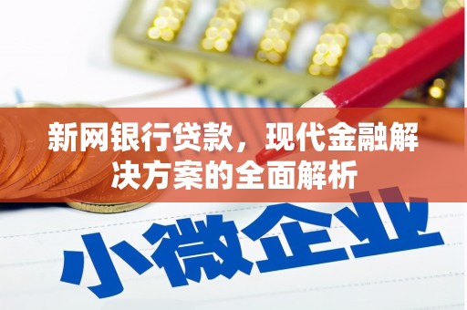 郸城新网银行贷款，现代金融解决方案的全面解析