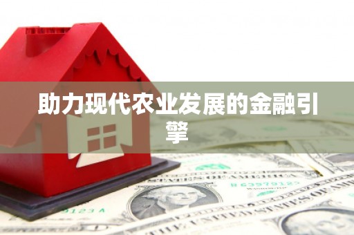 郸城助力现代农业发展的金融引擎
