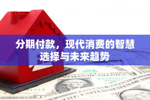 郸城分期付款，现代消费的智慧选择与未来趋势
