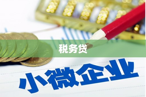 郸城税务贷