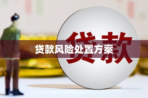 郸城贷款风险处置方案
