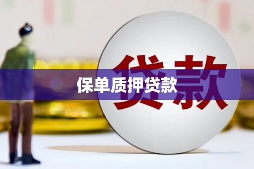 郸城保单质押贷款