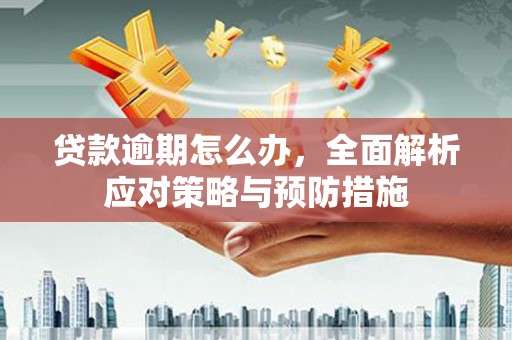 郸城贷款逾期怎么办，全面解析应对策略与预防措施