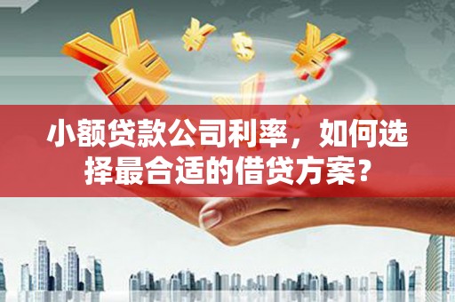 郸城小额贷款公司利率，如何选择最合适的借贷方案？