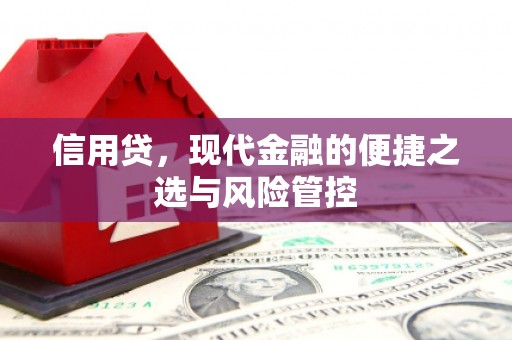 郸城信用贷，现代金融的便捷之选与风险管控