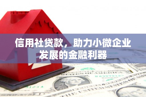 郸城信用社贷款，助力小微企业发展的金融利器