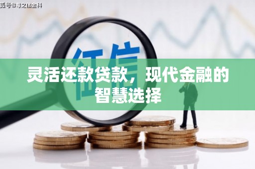 郸城灵活还款贷款，现代金融的智慧选择