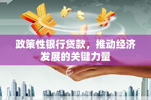 郸城政策性银行贷款，推动经济发展的关键力量