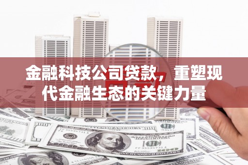 郸城金融科技公司贷款，重塑现代金融生态的关键力量