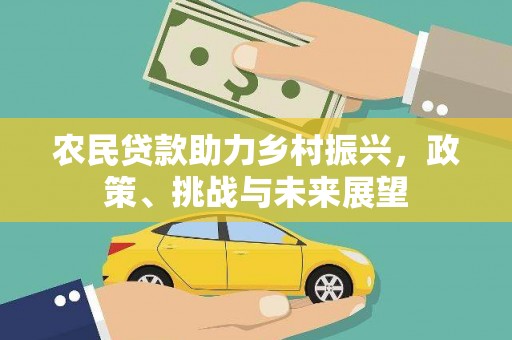 郸城农民贷款助力乡村振兴，政策、挑战与未来展望