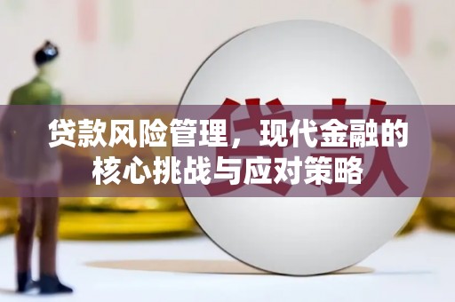 郸城贷款风险管理，现代金融的核心挑战与应对策略