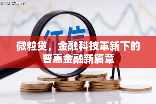 郸城微粒贷，金融科技革新下的普惠金融新篇章
