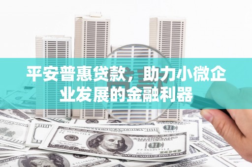 郸城平安普惠贷款，助力小微企业发展的金融利器