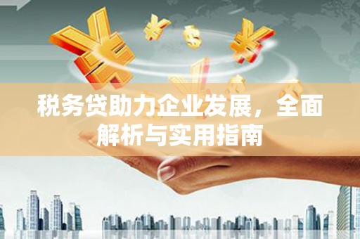 郸城税务贷助力企业发展，全面解析与实用指南