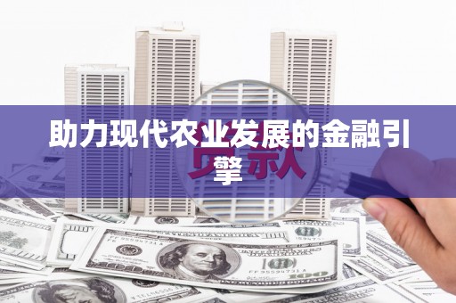 郸城助力现代农业发展的金融引擎