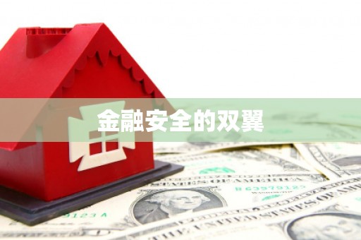 郸城金融安全的双翼
