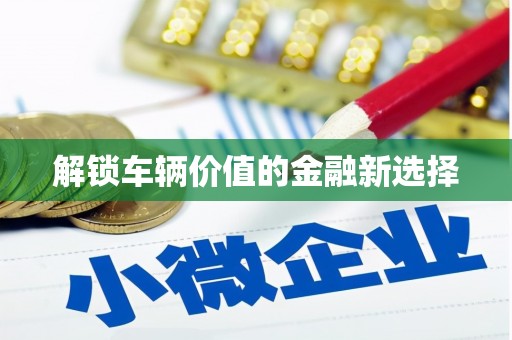 郸城解锁车辆价值的金融新选择