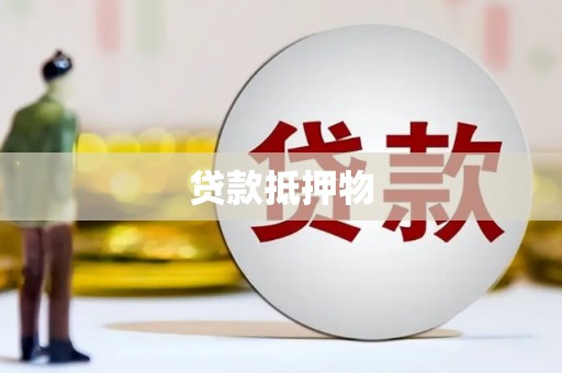郸城贷款抵押物