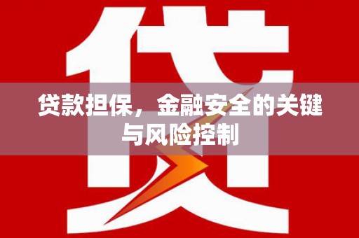 郸城贷款担保，金融安全的关键与风险控制