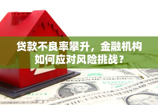 郸城贷款不良率攀升，金融机构如何应对风险挑战？