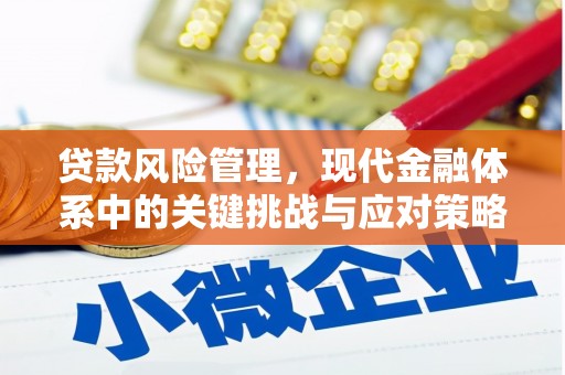 郸城贷款风险管理，现代金融体系中的关键挑战与应对策略
