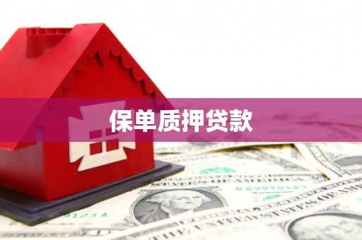 郸城保单质押贷款