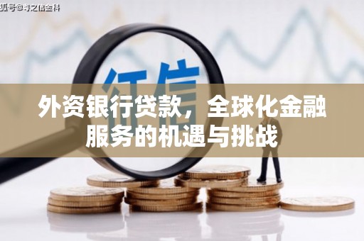 郸城外资银行贷款，全球化金融服务的机遇与挑战