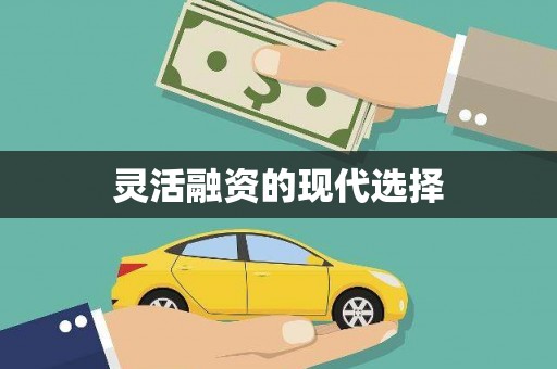郸城灵活融资的现代选择
