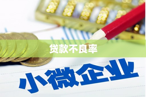 郸城贷款不良率