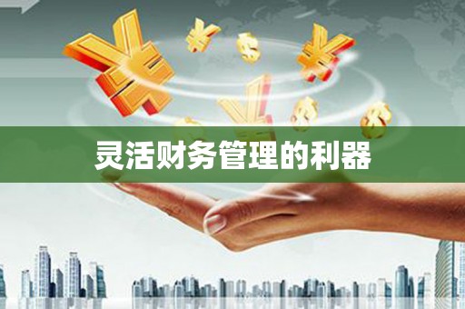 郸城灵活财务管理的利器