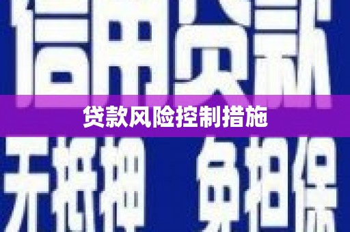 郸城贷款风险控制措施