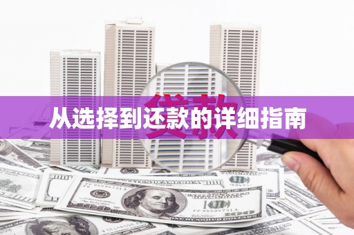 郸城从选择到还款的详细指南