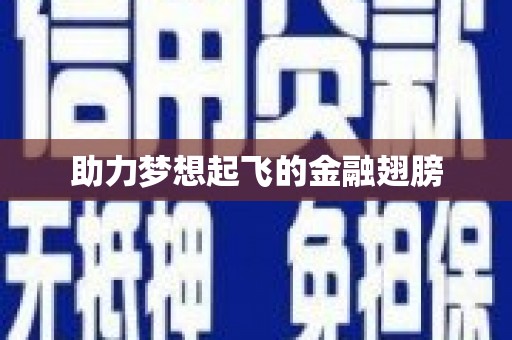 郸城助力梦想起飞的金融翅膀
