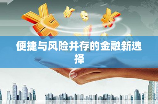 郸城便捷与风险并存的金融新选择