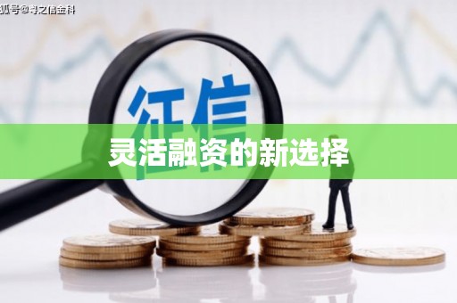 郸城灵活融资的新选择
