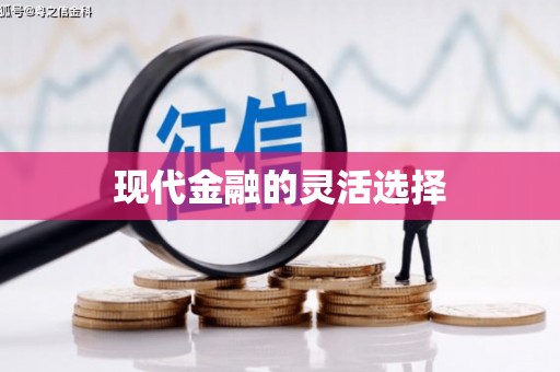 郸城现代金融的灵活选择