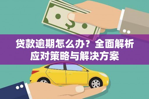 郸城贷款逾期怎么办？全面解析应对策略与解决方案