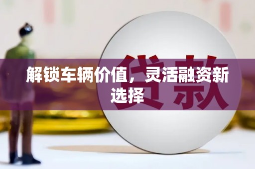 郸城解锁车辆价值，灵活融资新选择
