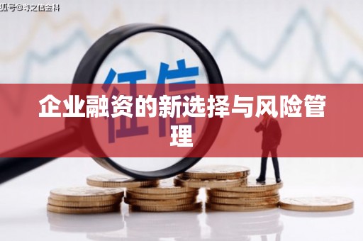 郸城企业融资的新选择与风险管理