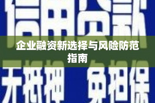 郸城企业融资新选择与风险防范指南