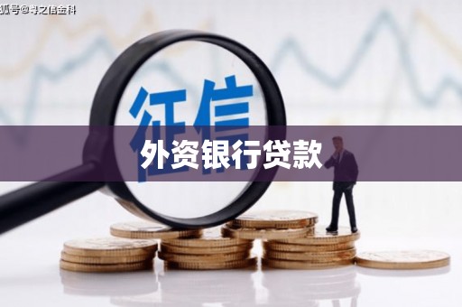 郸城外资银行贷款