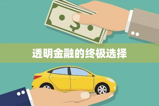 郸城透明金融的终极选择