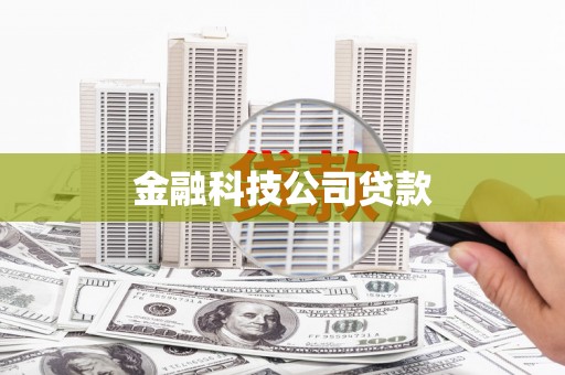 郸城金融科技公司贷款