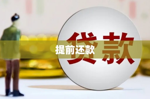 郸城提前还款