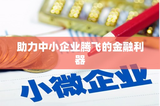 郸城助力中小企业腾飞的金融利器