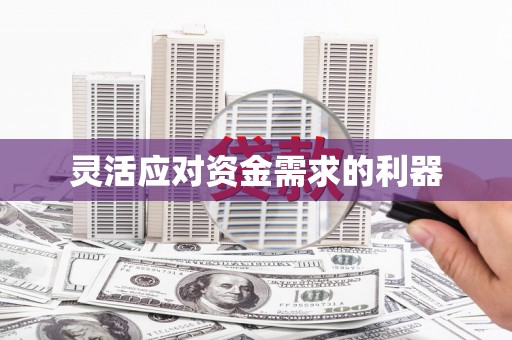 郸城灵活应对资金需求的利器