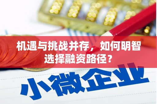 郸城机遇与挑战并存，如何明智选择融资路径？
